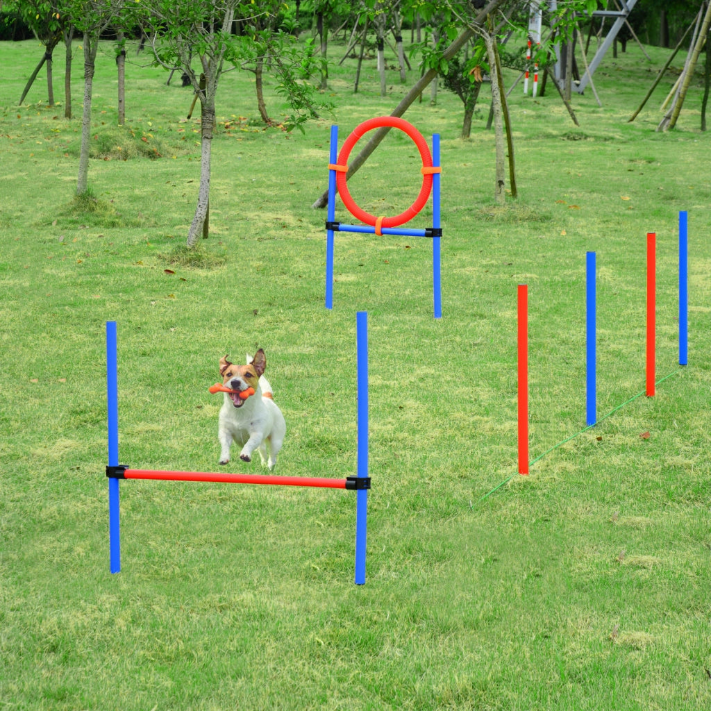 Set Agility per Cani ¨C Xylo ¨C 11 Pezzi con Ostacoli e Borsa Trasporto Acciaio Rosso Blu