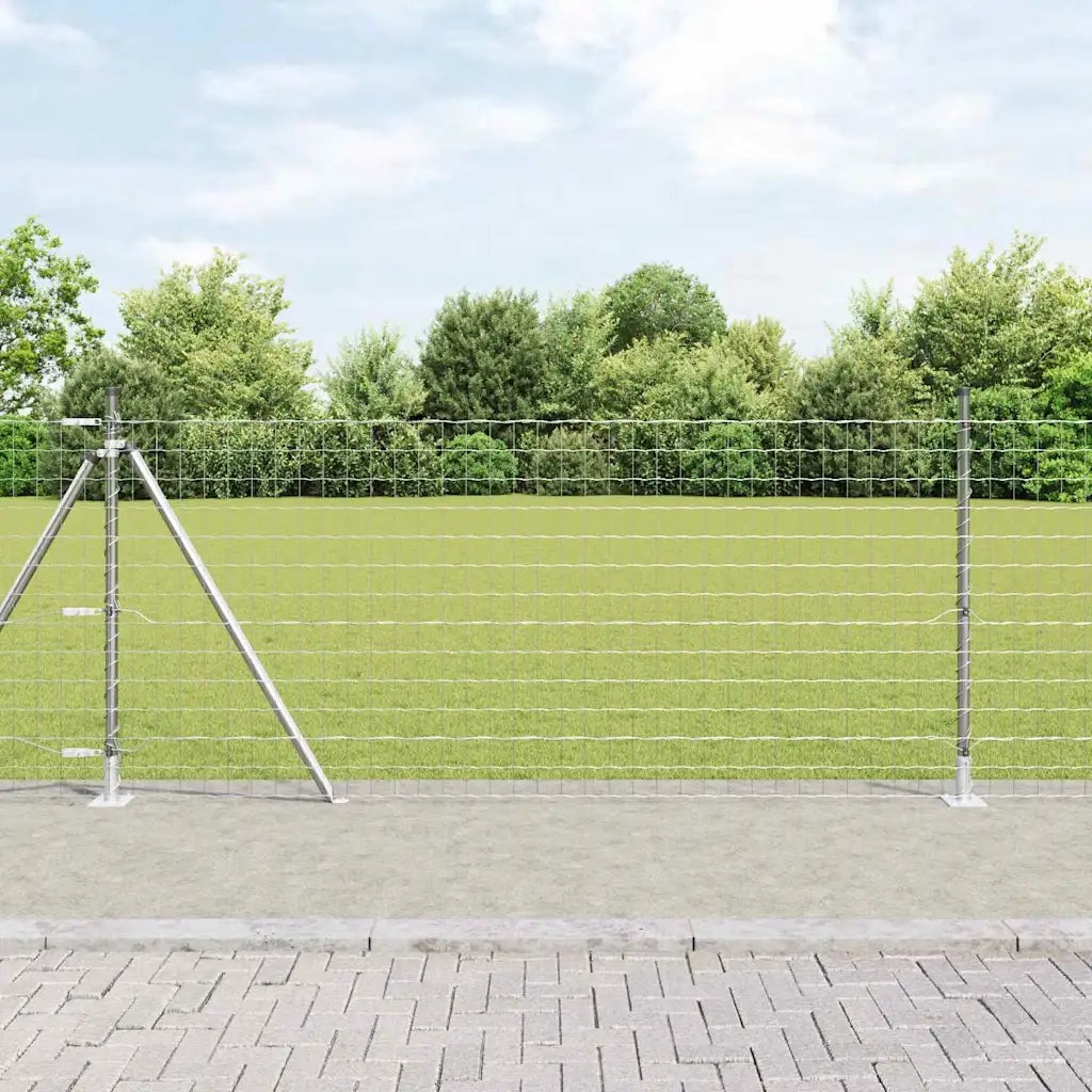 Recinzione da Giardino | Recinzione con Posto Argento 0,8 x 10 m Acciaio