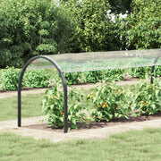 Copertura per Piante Trasparente 6 x 1,5 m PVC 3429368