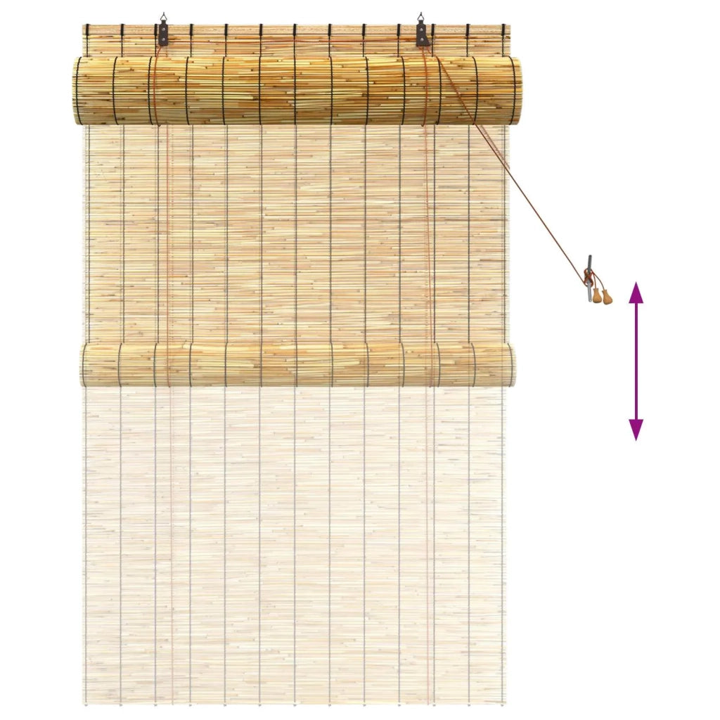 Tenda a rullo Naturale 100 x 160 cm Giunco 42034645