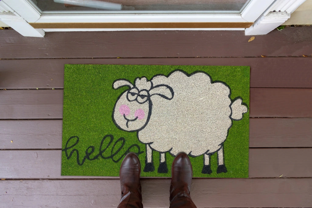 Zerbino Ingresso Casa In Fibra Di Cocco Con Base In Pvc  Dolly