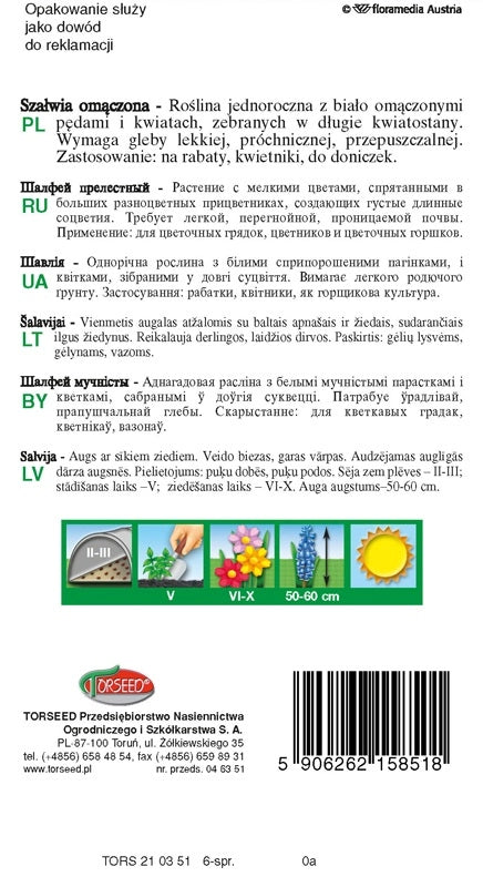 Salvia inzuppata - Salvia farinacea blu 0,5g