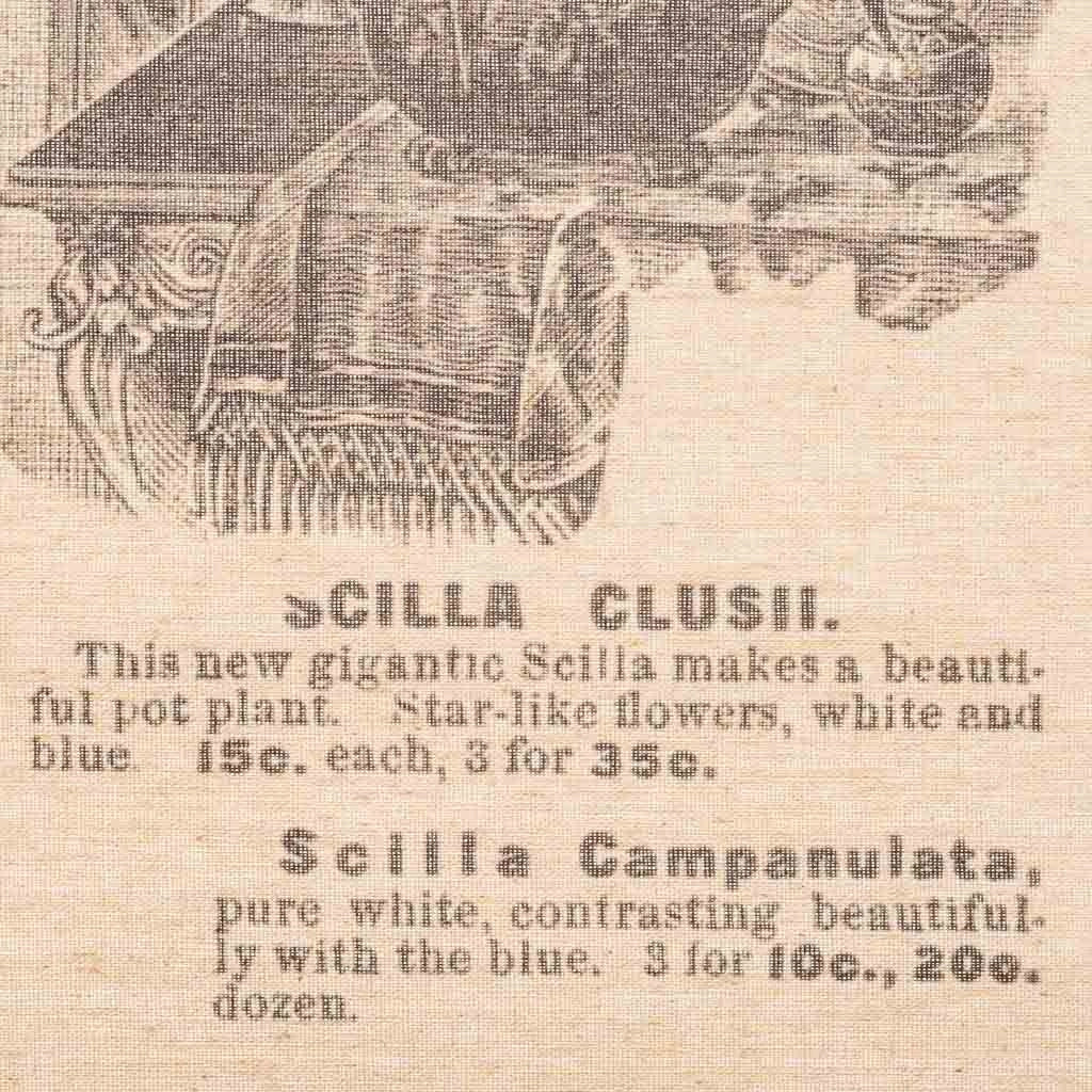 Tela in tessuto pergamena stampata 55x75x2,5h