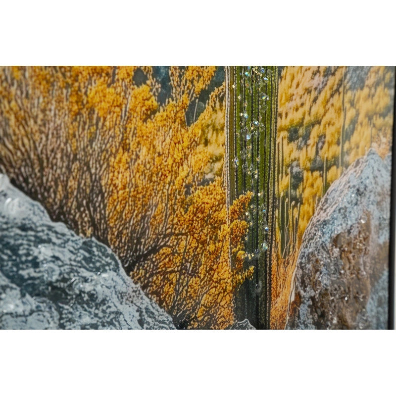 Stampa Su Tela Laccata Con Cornice Cactus -b- cm 60x4x90