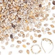 594 pezzi di conchiglie spiraliformi naturali - conchiglie forate per il mare per fare gioielli e artigianato