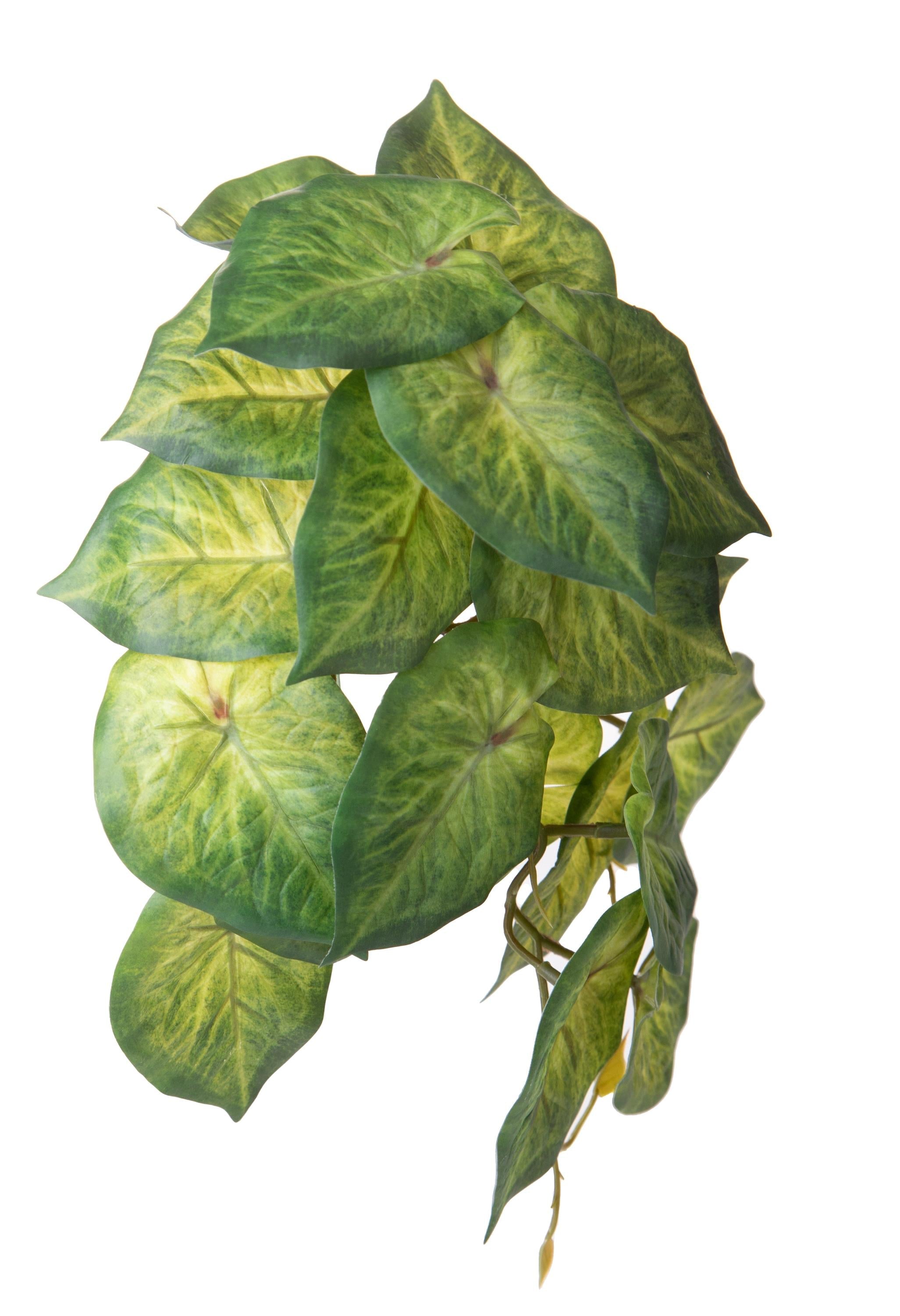 Set 4 Foglie Artificiali Syngonium per 21 Foglie 18 cm