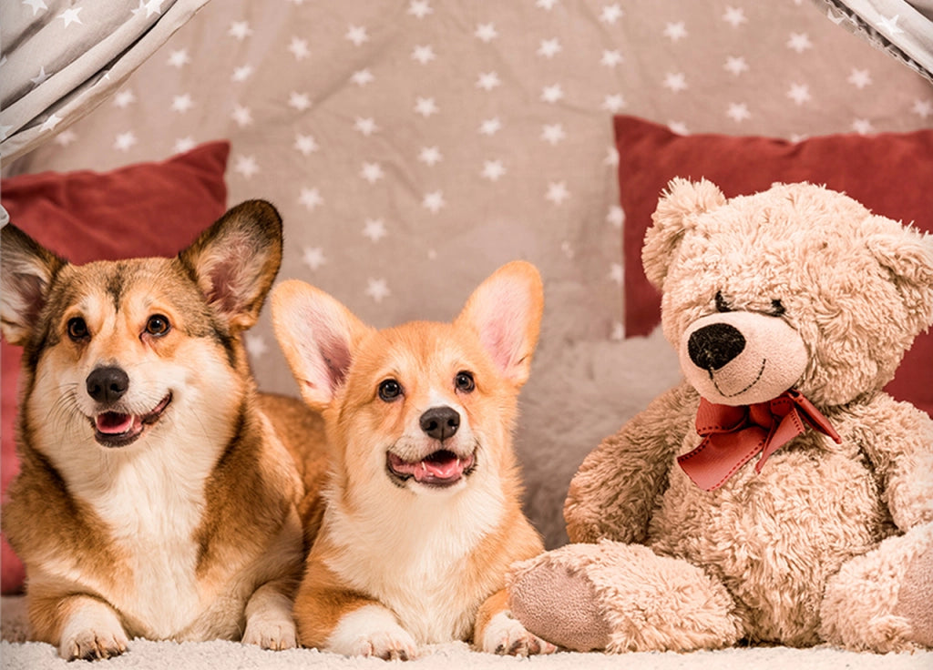 Parure Copripiumino Sacco Piumino Letto 100% Cotone Sogni D'oro Disegno Cani E Orsi Dis. 67 - Piazza E Mezza - Cani E Orsi