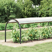 Copertura per Piante con Occhielli 1x10 m in Polietilene 3308699
