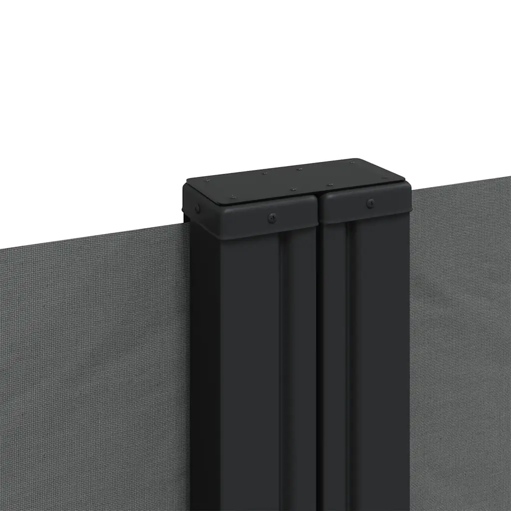 Tenda da Sole Laterale Retrattile Antracite 100x600 cm 4004583