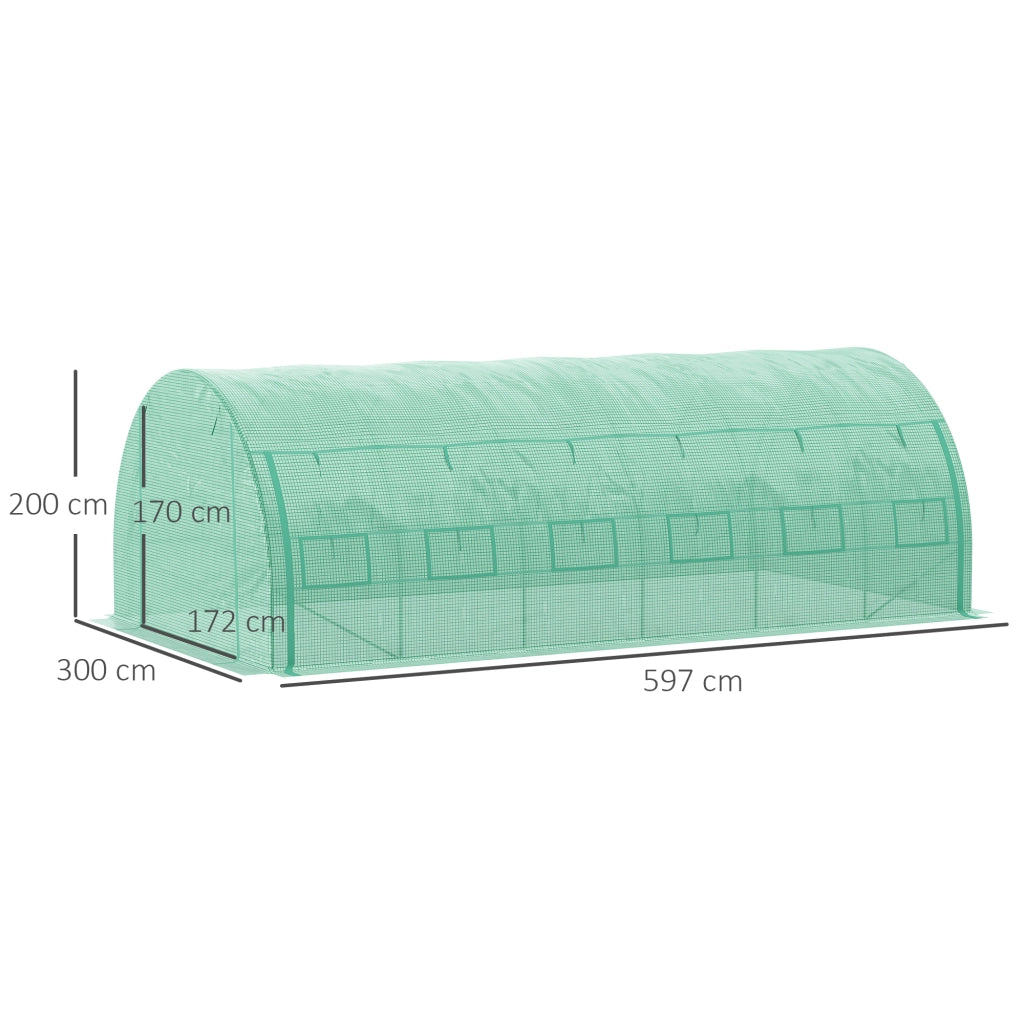 Serra tunnel 5,97 x 3 x 2 m con porta a cerniera, finestre arrotolabili e struttura in acciaio zincato