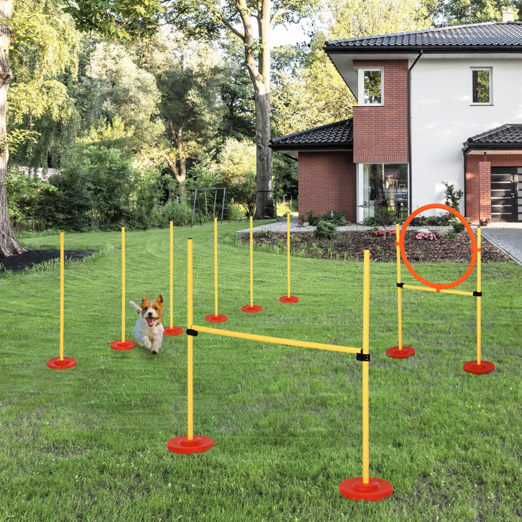 Set Agility per Cani ¨C zephmum ¨C 6 Stanghe Slalom, Ostacoli, Cerchio, Borsa
