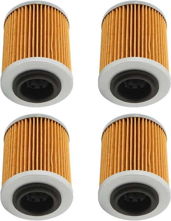 Filtro olio 420256188 per CAN AM 330 400 450 500 2003-2017 - Pacco 4 unità