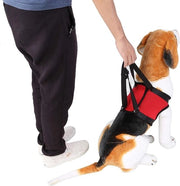 Supporto posteriore per cani - Aiuto alla locomozione - Cinturone di sollevamento e trazione per cani anziani o feriti.