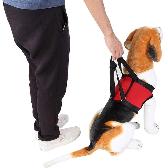 Supporto posteriore per cani - Aiuto alla locomozione - Cinturone di sollevamento e trazione per cani anziani o feriti.