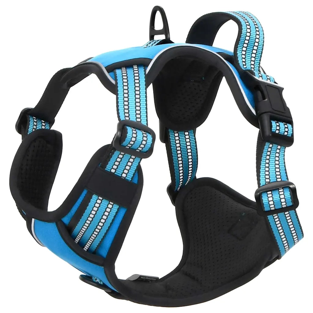 Pettorina per Cani con Guinzaglio e Collare Regolabile Blu L CFW9131012