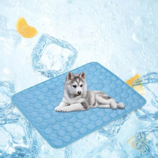 Cuscino rinfrescante per cani - Matrimonio rinfrescante per cani - Piuma di gel per cani - Lettino per cani lavabile - Cuscino rinfrescante per cani per auto