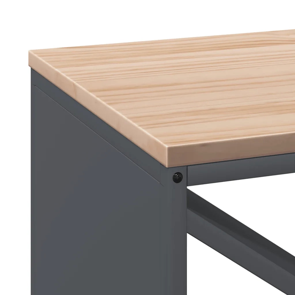 Rastrelliera Legna da Ardere con Piano Antracite 100x40x60 cm 864257