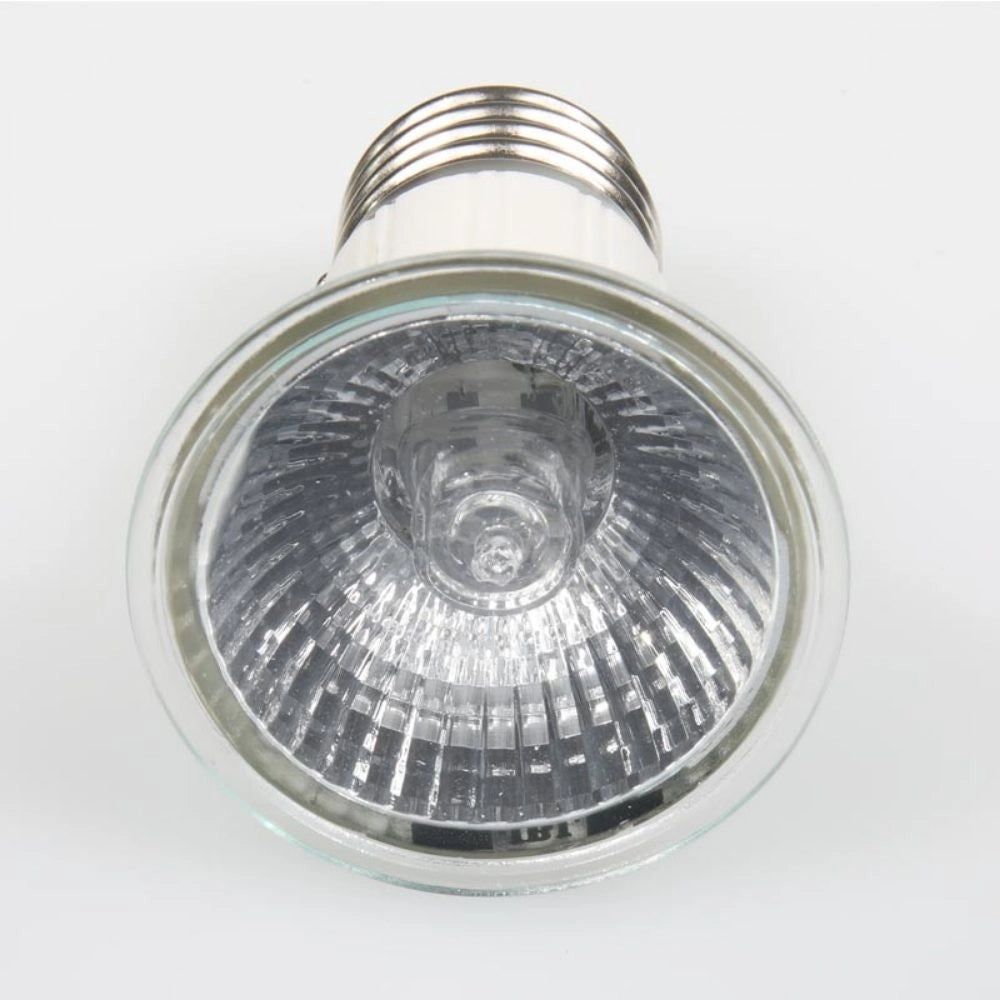 JBL Reptil Day Halogen - Faretto Riscaldante Diurno per Rettili Wattaggio Riscaldatori e lampade terrario: 100W