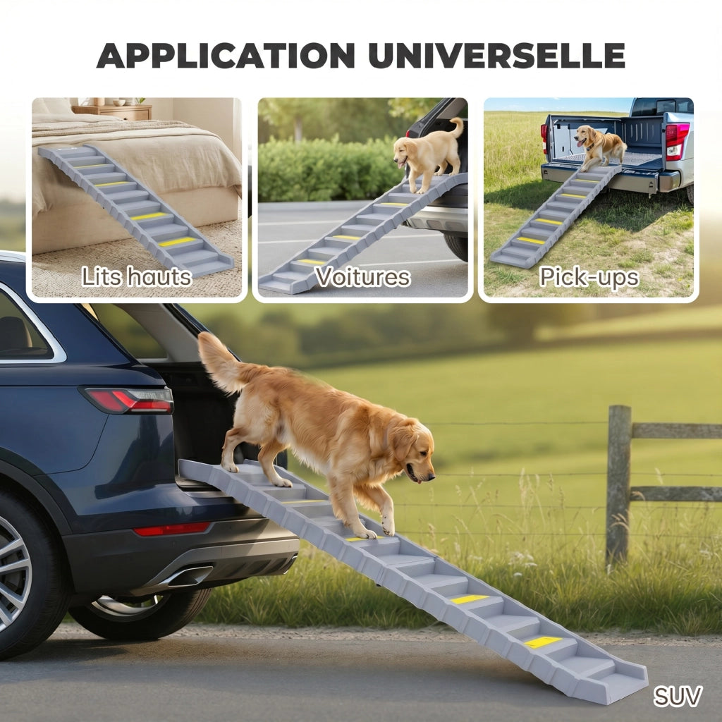 Rampa Pieghevole per Cani per Auto e Letti Alti a 10 Gradini con Strisce e Tappetini Antiscivolo, Grigio