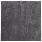 Tappeto del soggiorno | Tappeto Pelo Corto HUARTE Morbido Lavabile Antracite 240x240 cm