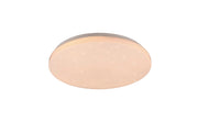 Plafoniera da Interno a LED in Plastica Bianco