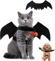 Alianti per Animali da Halloween con Fregio di Zucca per Cani e Gatti Dimensione M