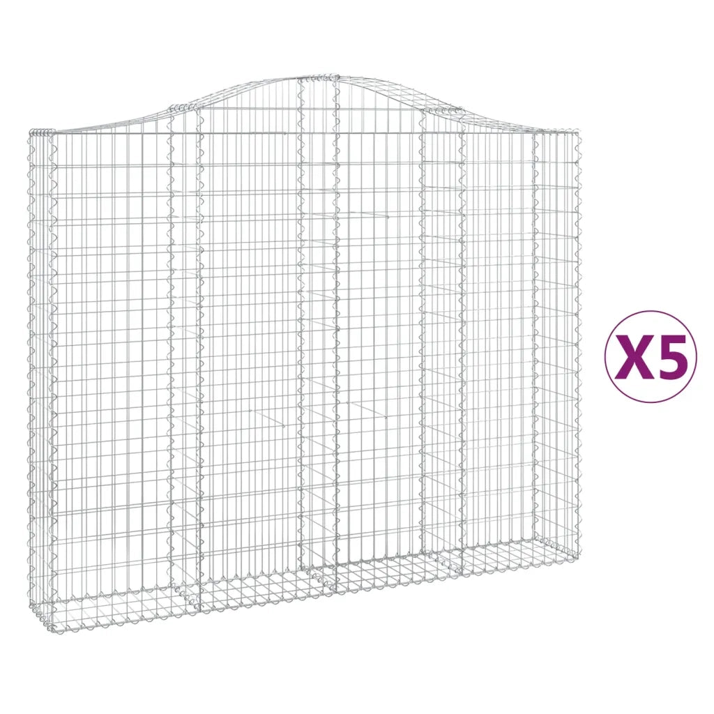Cesti Gabbioni ad Arco 5 pz 200x30x160/180 cm Ferro Zincato