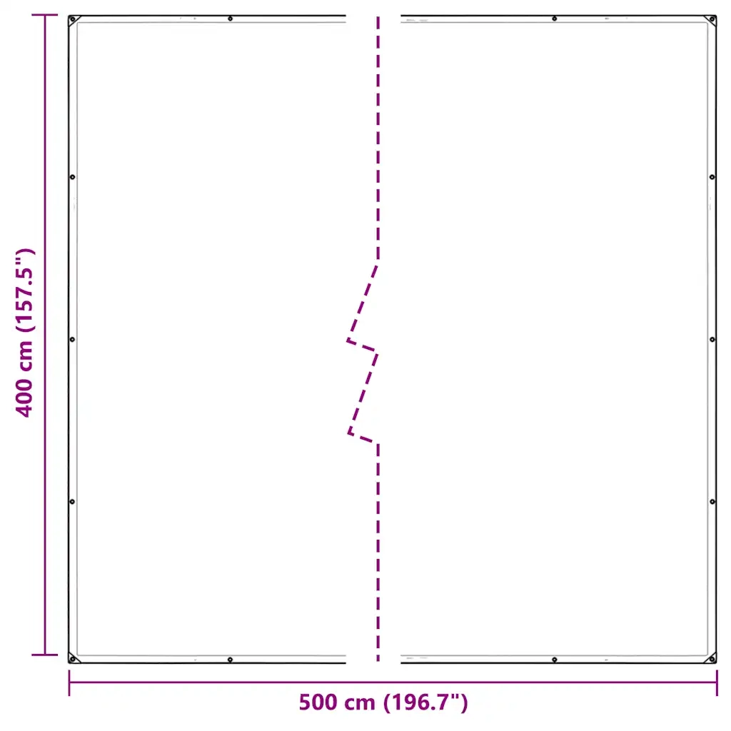 Telone Trasparente con Occhielli 4x5 m in Polietilene 4018519