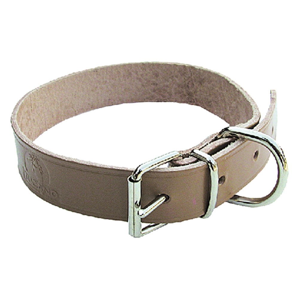COLLARE PER CANE larg. mm 35 lung. cm 68- 6 pezzi  - BricoGo