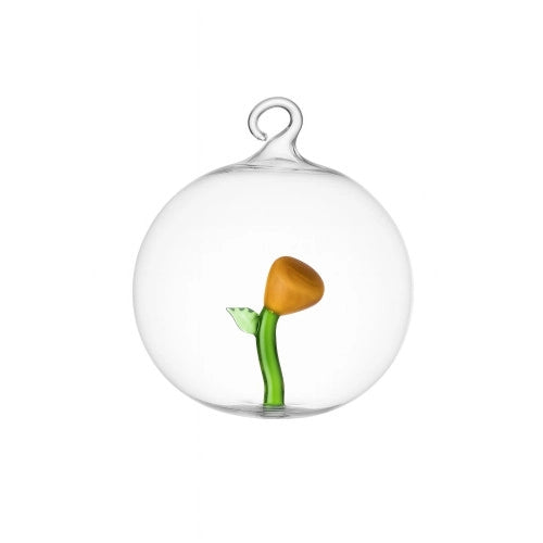 Palla di Natale fiore ambra botanica