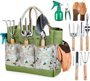 Set di attrezzi da giardino, 9 pezzi, con organizzatore di attrezzi da giardino, borsa, set di attrezzi da giardino stabile, regalo ideale per donne e appassionati di giardinaggio