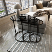 Set di 3 Tavolini Bassi 'Kyyjärvi' Sovrapponibili con Piano Tondo in Vetro Fumè Grigio [en.casa]