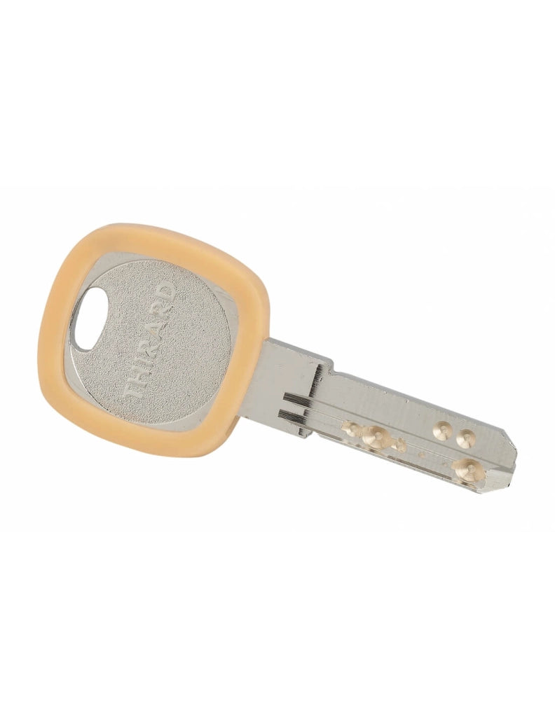 Anello portachiavi Ø 30 mm, colori assortiti – THIRARD