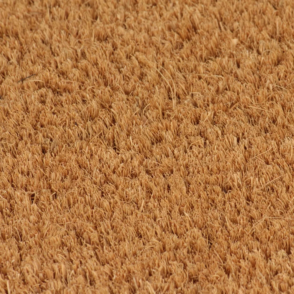 vidaXL Zerbino Naturale 50x80 cm in Fibra di Cocco