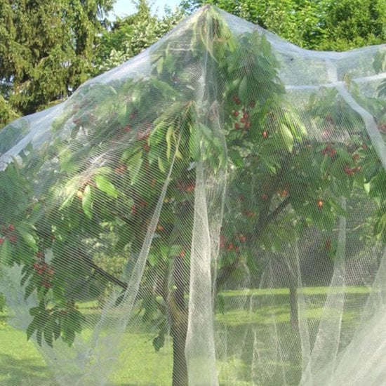 Schermatura per Uccelli - Protezione per Giardino - Rete di Protezione per Piante - Sacchi di Barriera - Corda da Tenda - 2 Pezzi - Materiale PE - 1,5 x 1 m - Rete per Piante