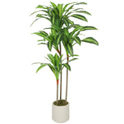 Pianta Artificiale Dracena ¨C Minimal ¨C Verde Legno PP Cemento 60x40x120 cm