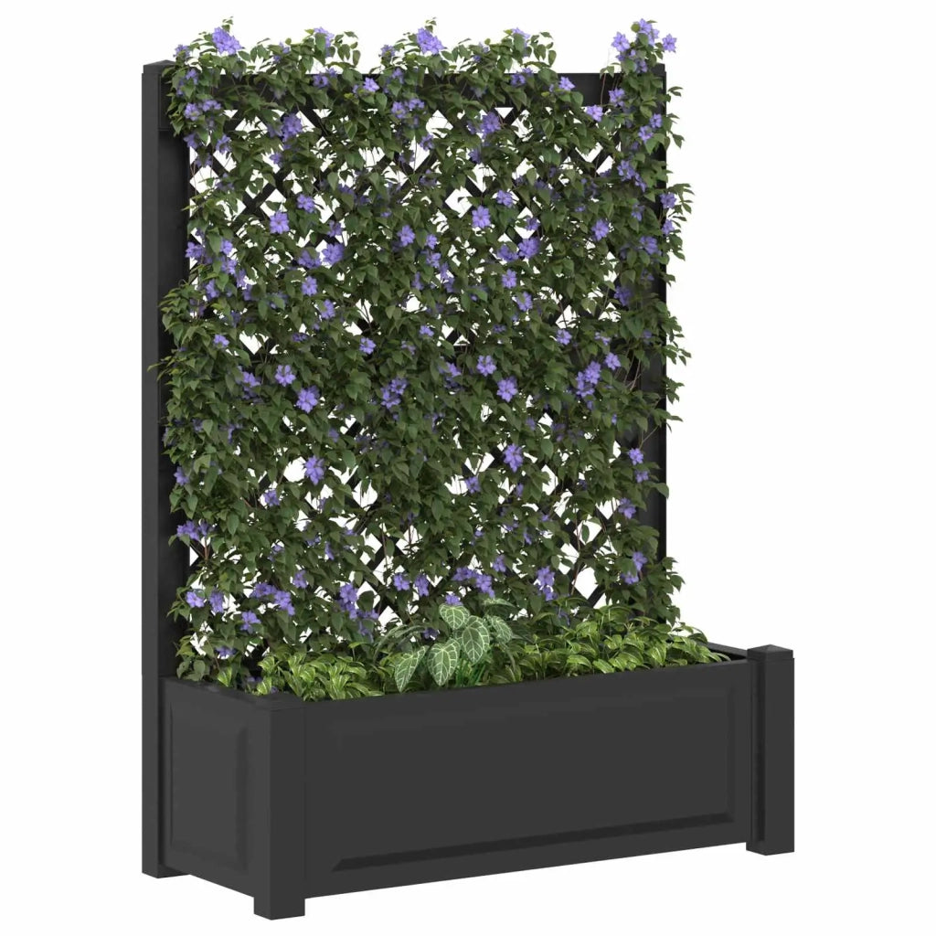 Vaso Grande con Direzione Antracite 99,5 x 43 x 133,5 cm PP