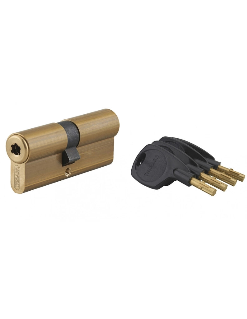 Cilindro europeo SURVEYOR 41 x 41 mm, 4 chiavi – THIRARD