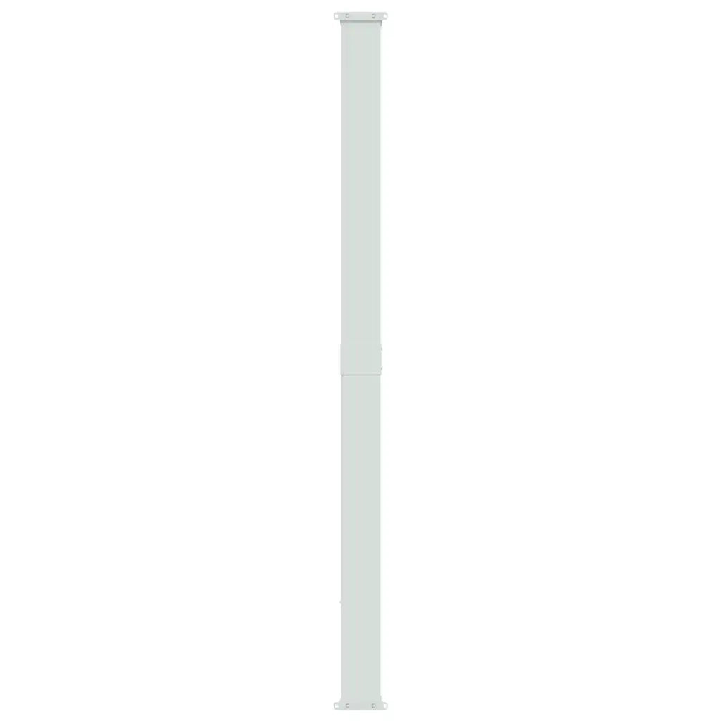 Tenda Laterale Retrattile per Patio 220x314 cm Grigia 313425