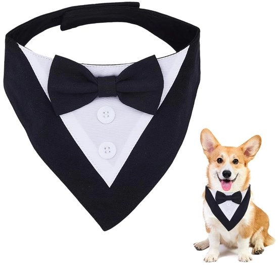Costume per cani in stile formale - abbigliamento per animali domestici - cappello per cani - cintura per cani - adattabile - adatto per festività - bandana in cotone