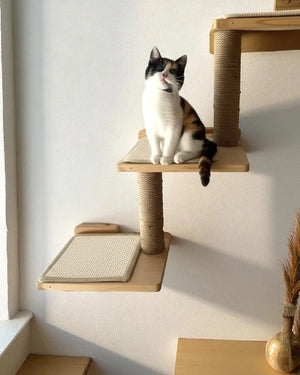 Albero per gatti Duna