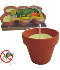 6 Pezzi Citronella In Coccio Vasetto Di Terracotta Diametro 7 Cm Antizanzare         