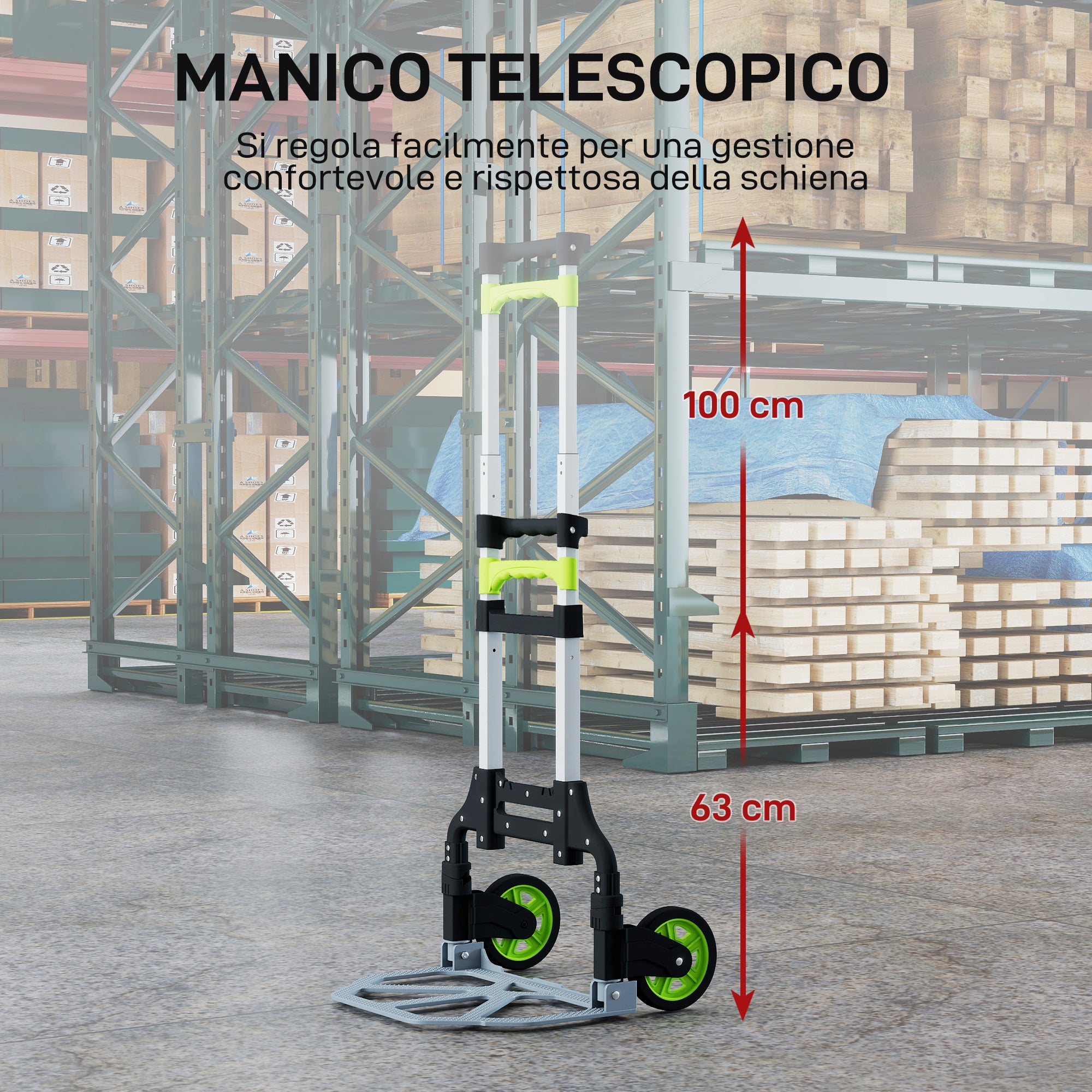 Carrello Portapacchi Pieghevole con Maniglia Telescopica Capacità 70 kg in Alluminio Argento
