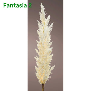 Microled ramo di pampa Kaemingk