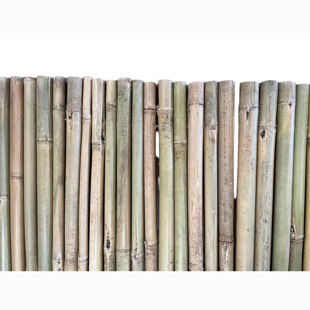 Arella in Canna di Bamboo Naturale River 1,5x3 metri per Recinzioni e Coperture in Rotoli