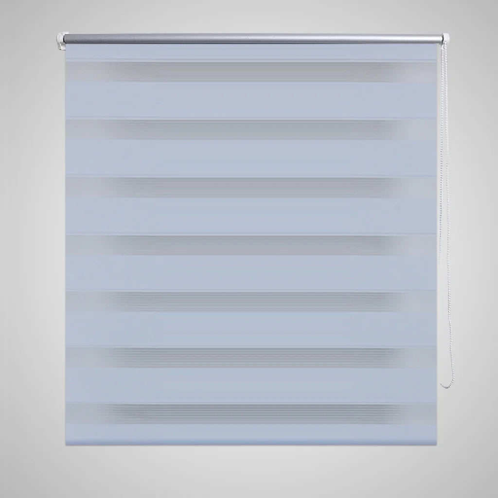 Tenda a rullo filtrante bianca 60 x 120 cm tenda per finestra persiana per la privacy 4102084