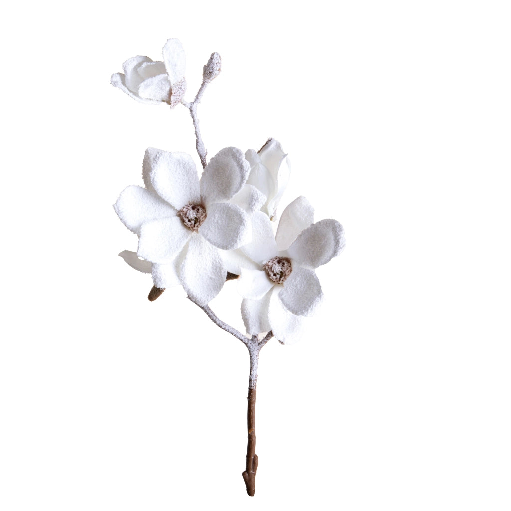 Set 6 Magnolia con 3 Fiori innevata H76 cm Crema