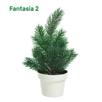 MINI ALBERELLO CON VASO 20CM