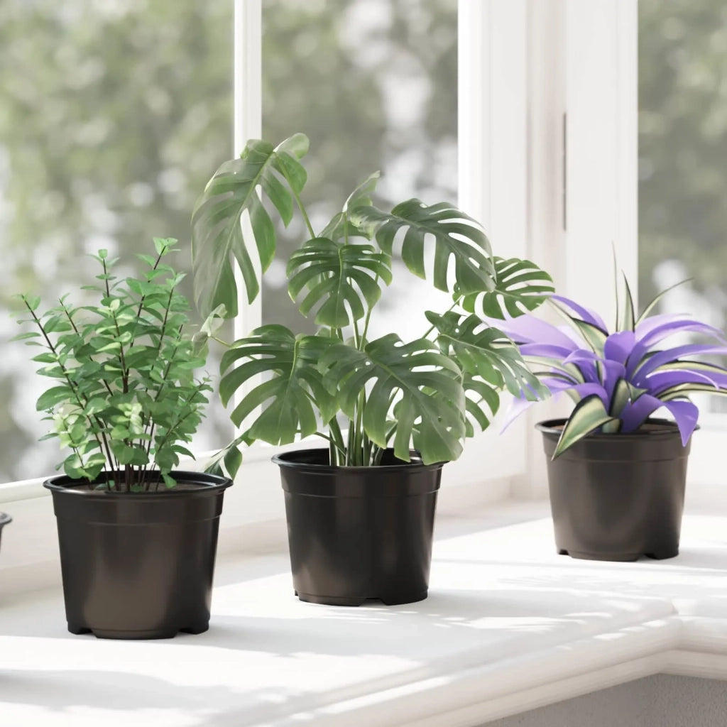 Vaso Rotondo per Fiori 200 pcs Nero Ø 10 x 8 cm Plastica 42029492
