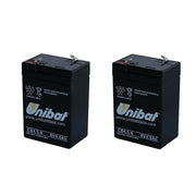 Multipack da 2 batterie al piombo 6 volt 4,5ah ricaricabili per lampade d'emergenza tampone
